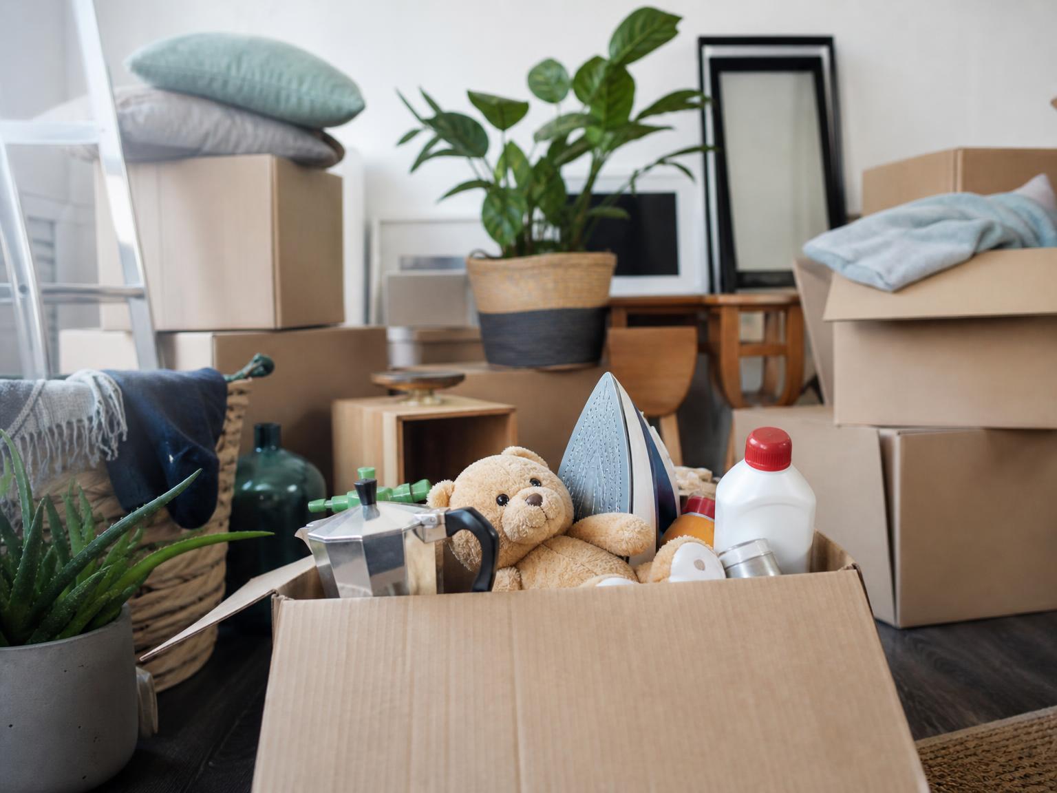 Removalists in Clovelly Park